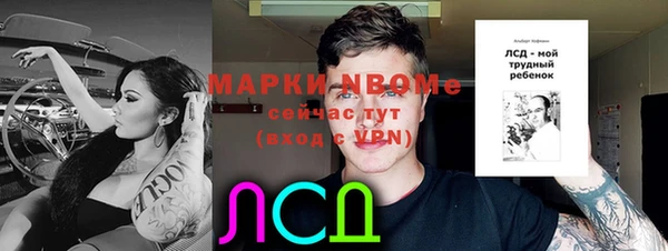 гидропоника Алзамай