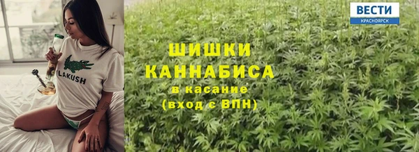 гидропоника Алзамай