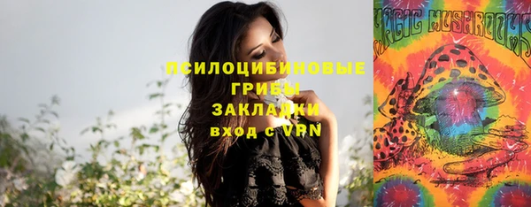 сатива Алексеевка