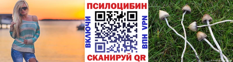 Псилоцибиновые грибы Psilocybine cubensis  hydra рабочий сайт  Алупка 