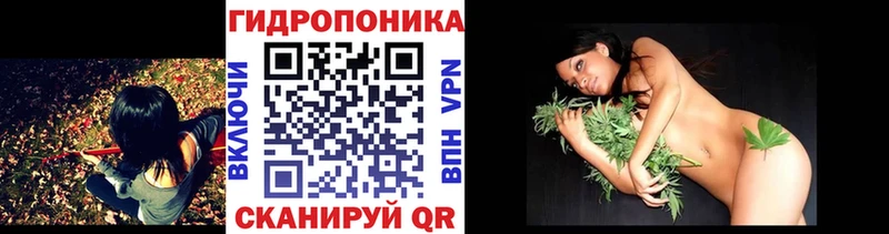 Марихуана сатива  hydra ссылки  Алупка  как найти наркотики 